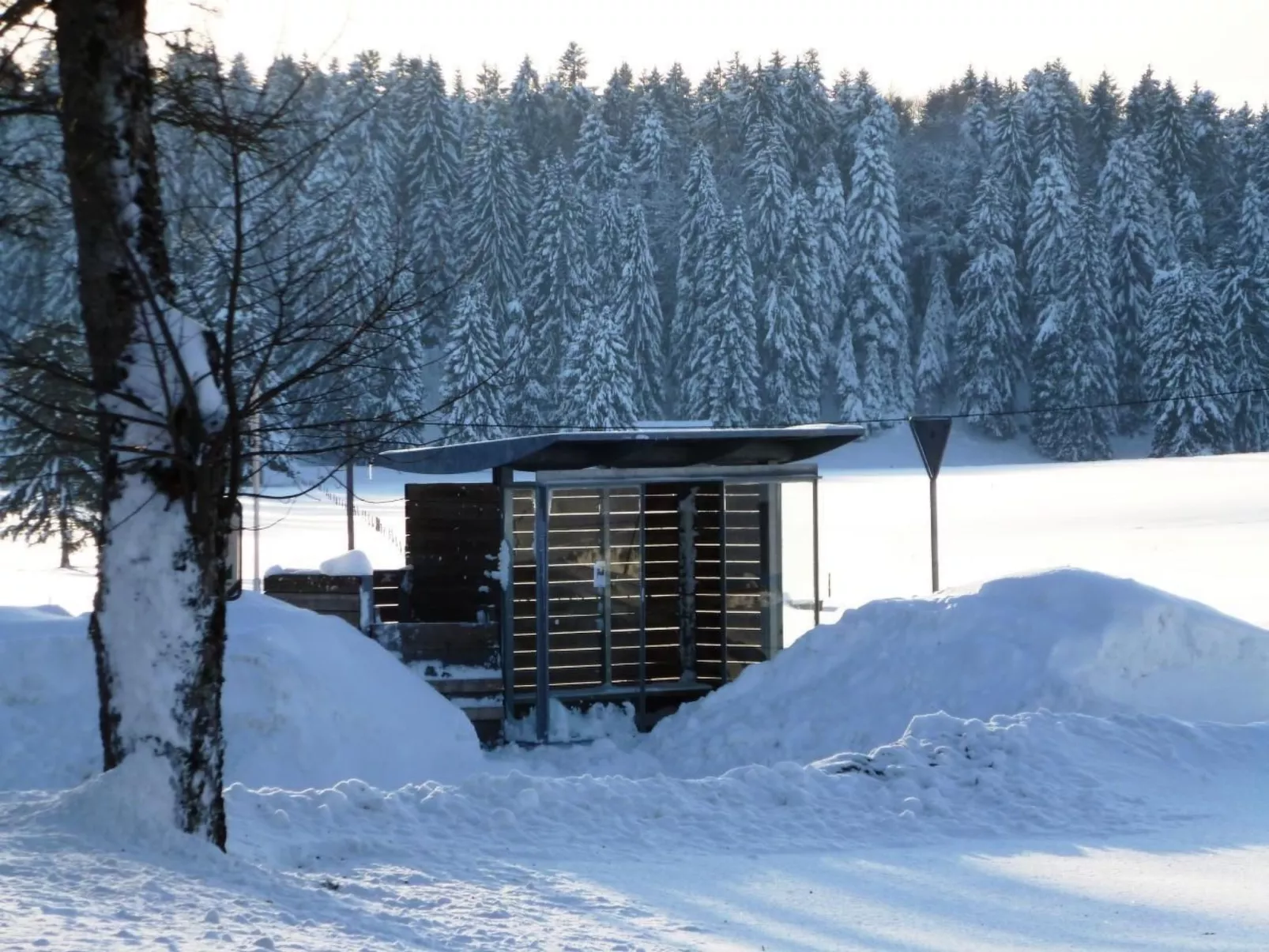 Chalet Désir, Lajoux-Buiten