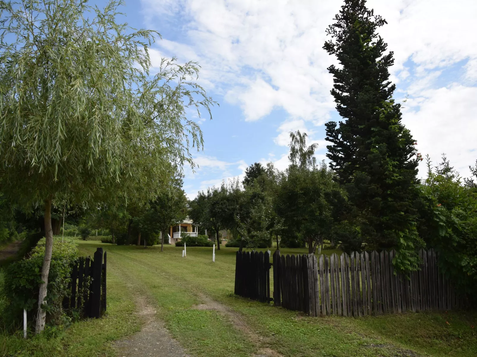 Hütte mit Garten, Grill und Terrasse-Buiten
