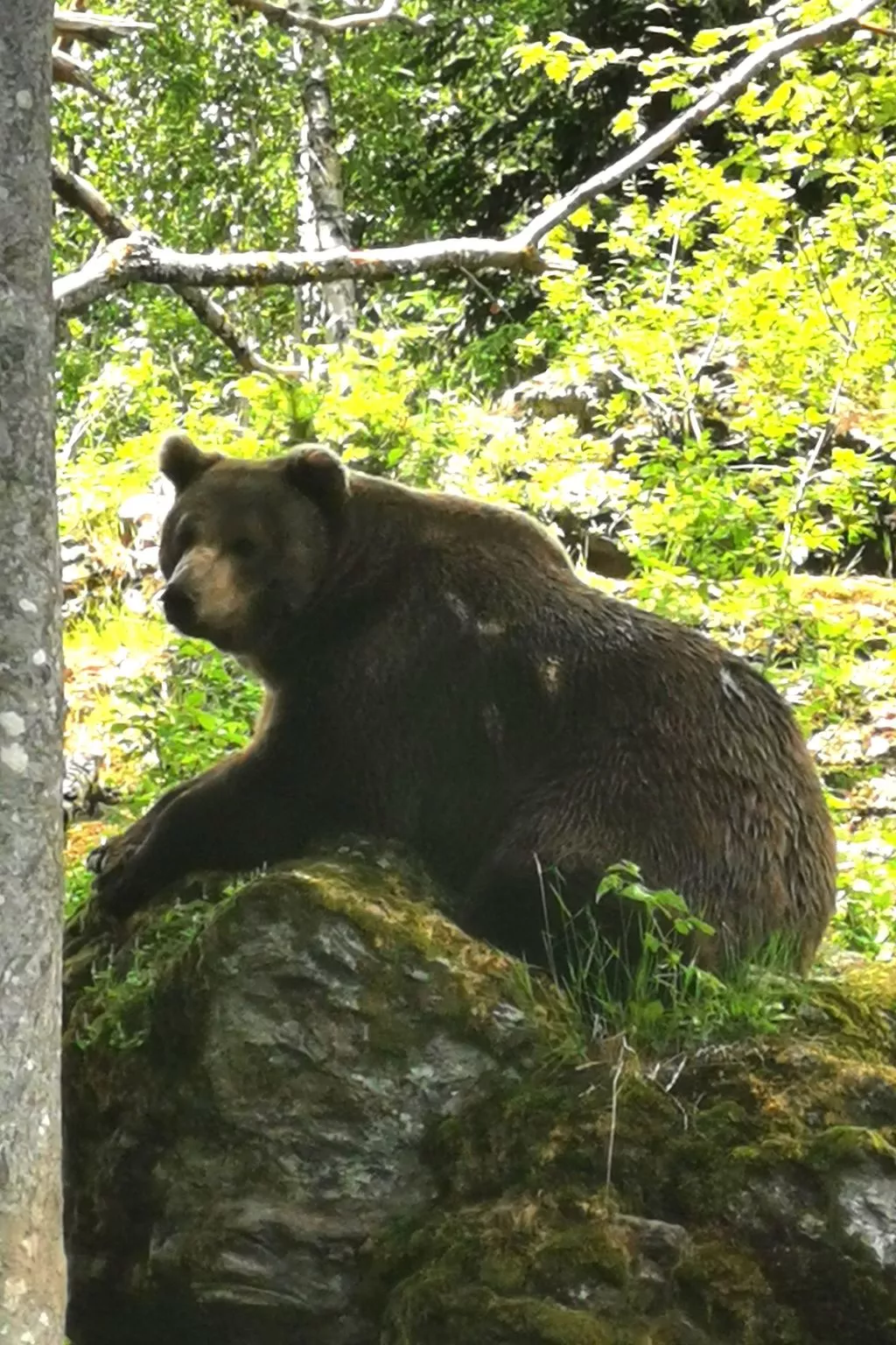 AnNo Wohlfühlen Bach-Image-tags.info