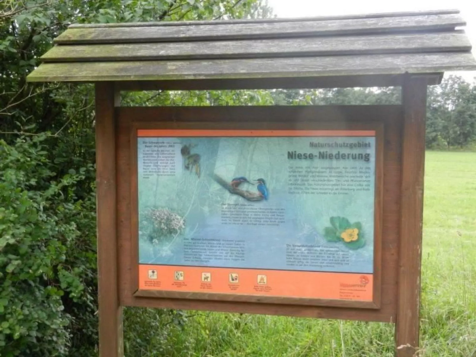 Im Teutoburger Wald-Image-tags.info