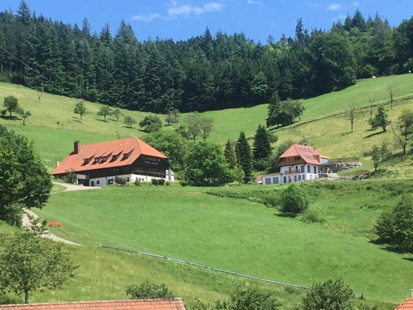 FeWo mit Whirlpool und Infrarotsauna-Buiten