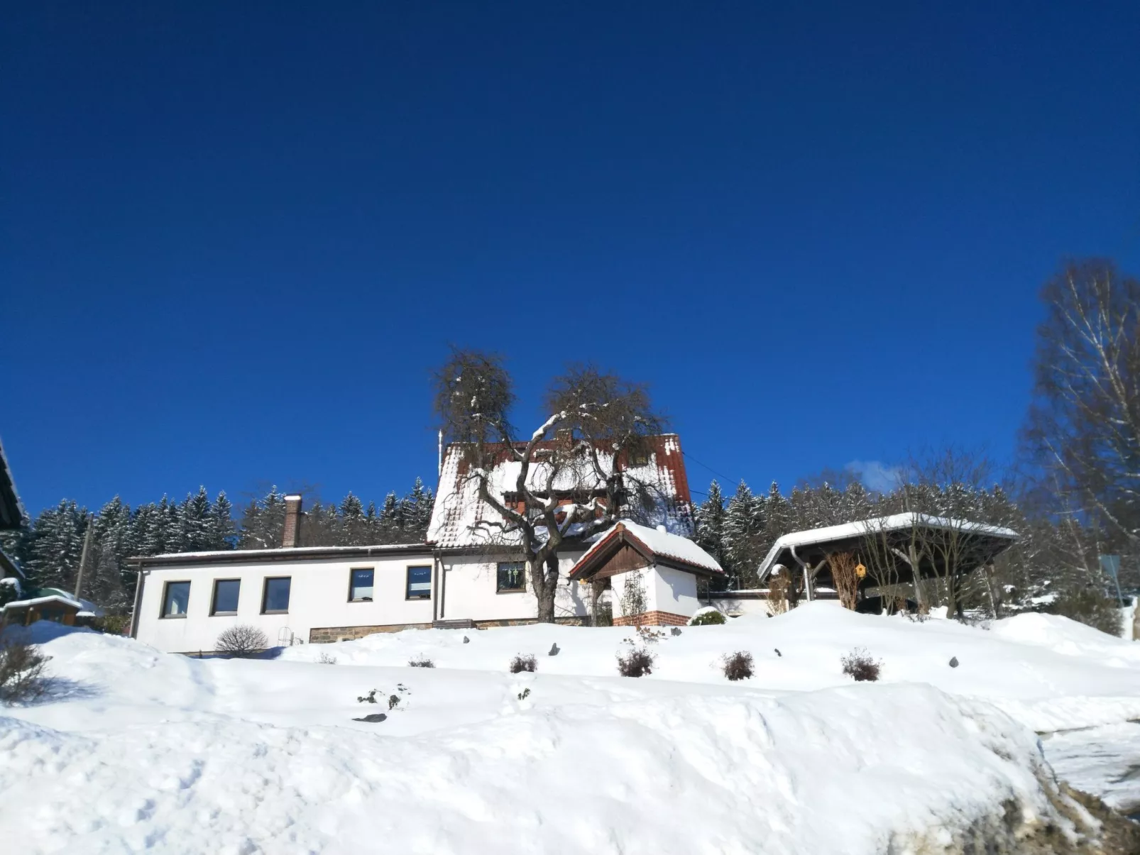 Auf der Sonnenseite-Image-tags.info