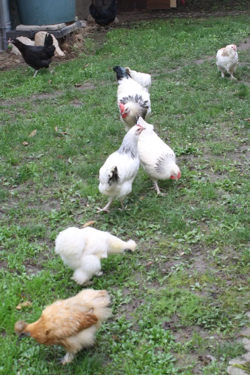 Kleine Fewo - Buiten