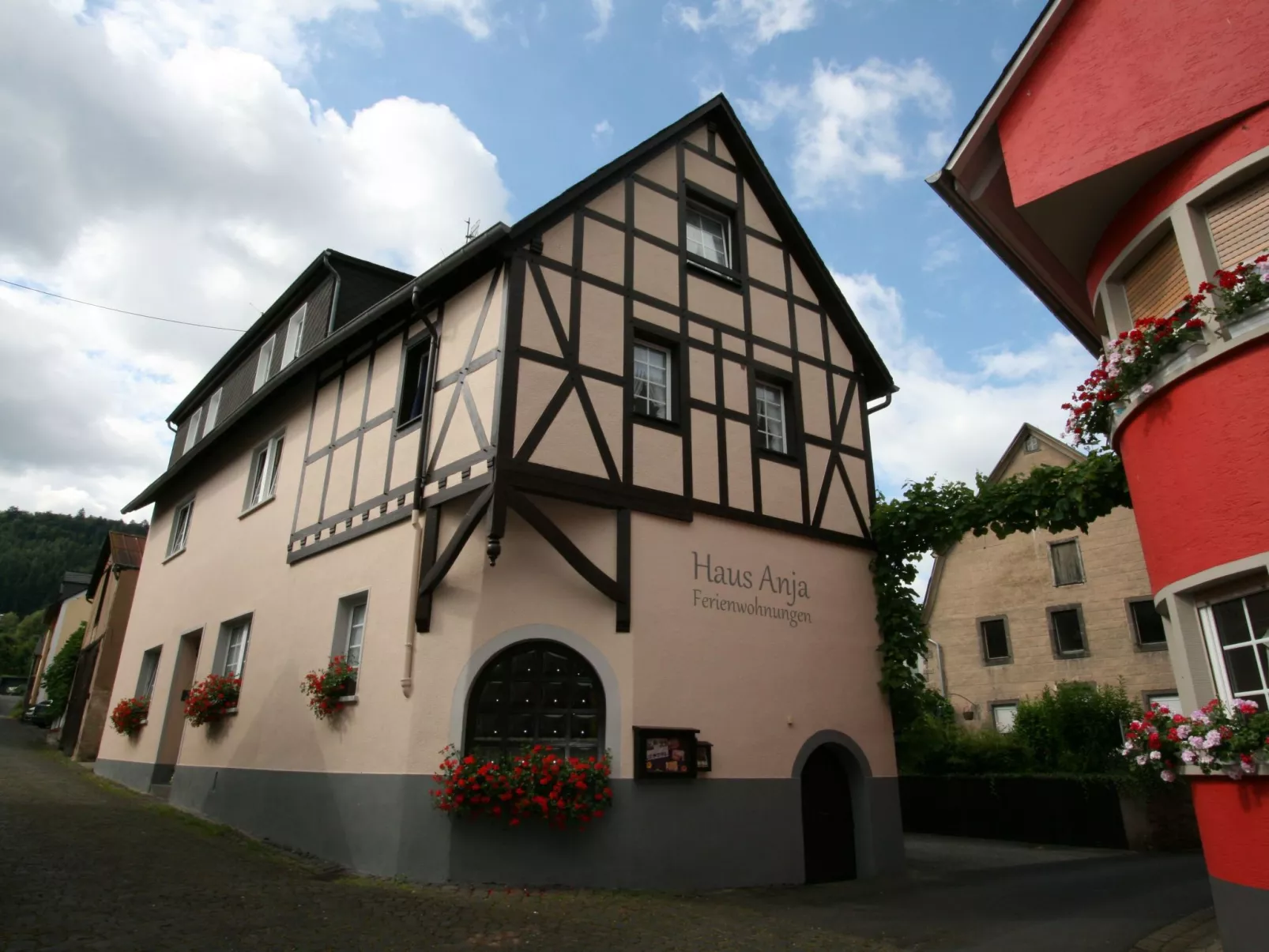 FEWO Hortensie-Buiten