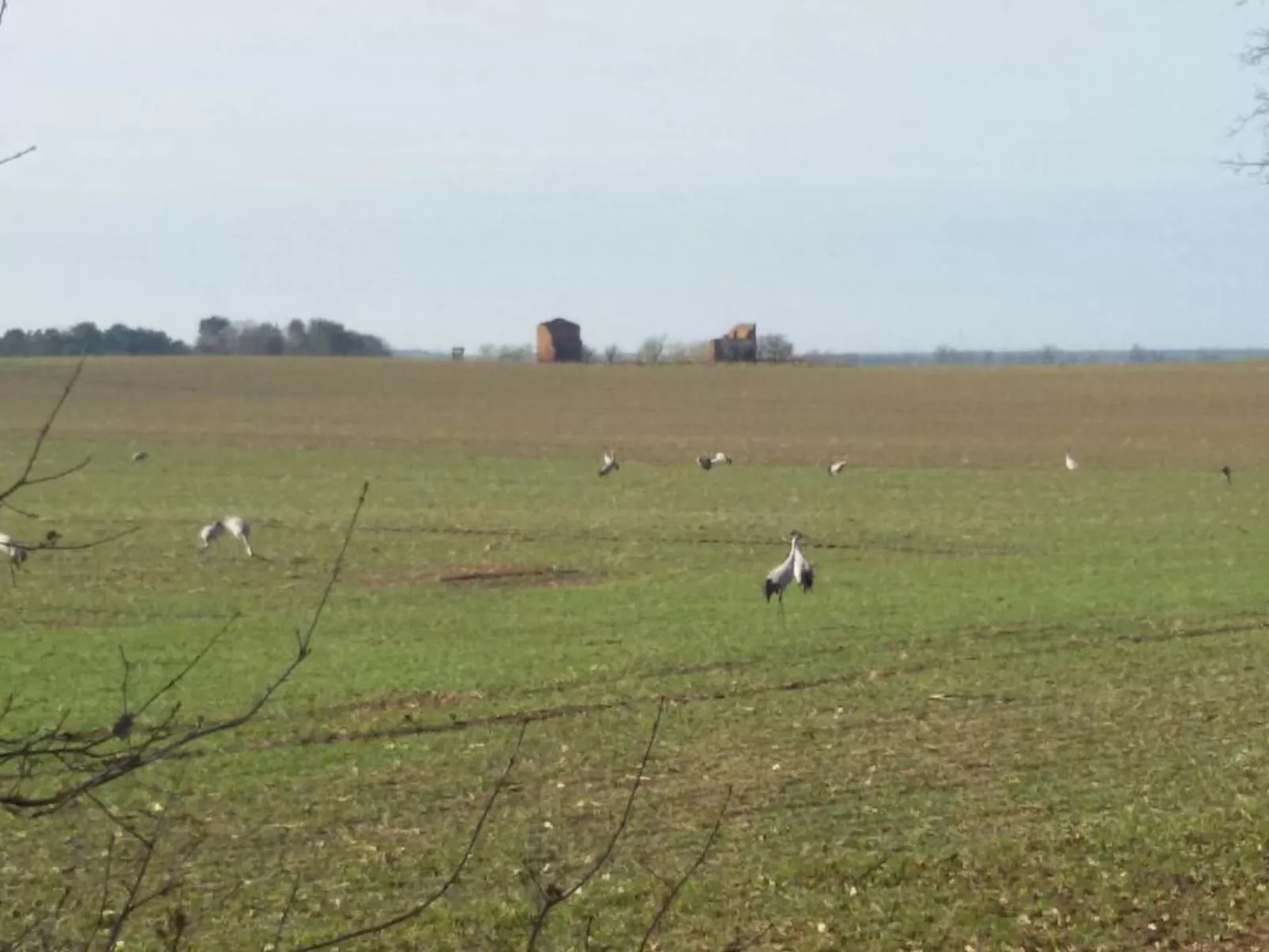 - Uns lütt Hüsung-Image-tags.info