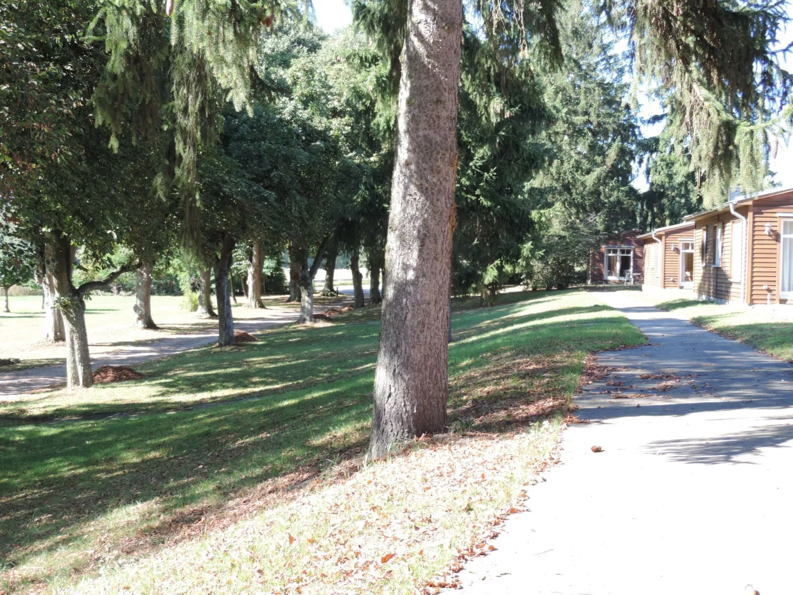 In Göhren mit Eigener Terrasse-Buiten