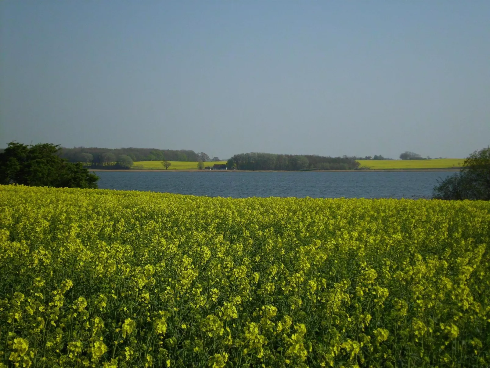 Haus in Zimmert mit Terrasse, Grill und Garten-Buiten