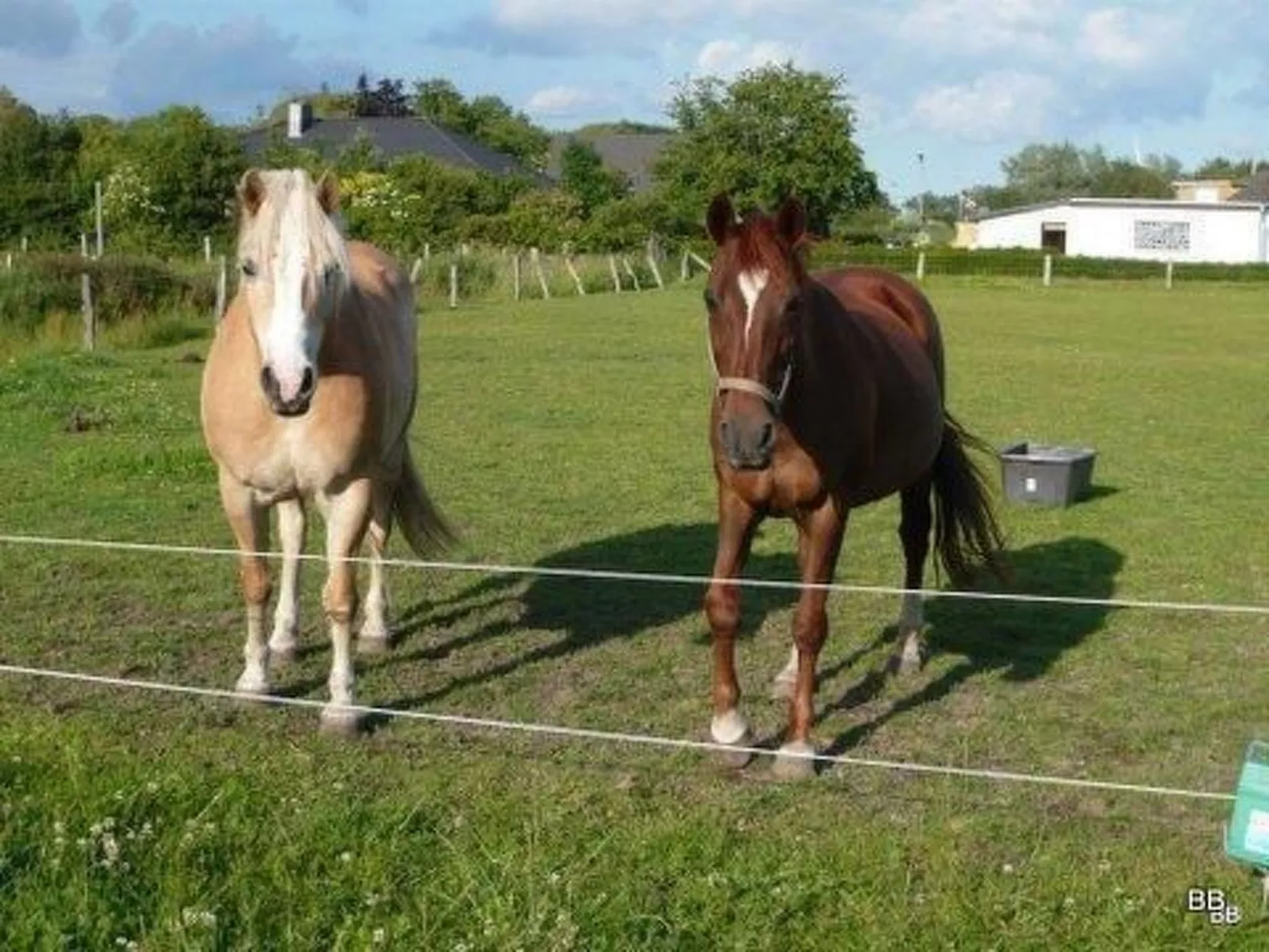 Toms Hütte in Bohmstedt-Buiten