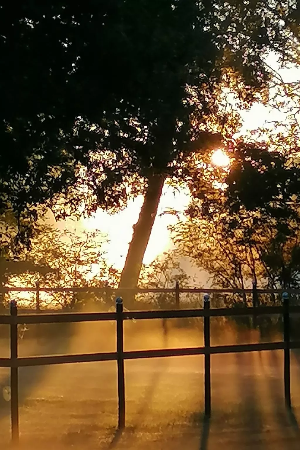 Weideblick-Image-tags.info