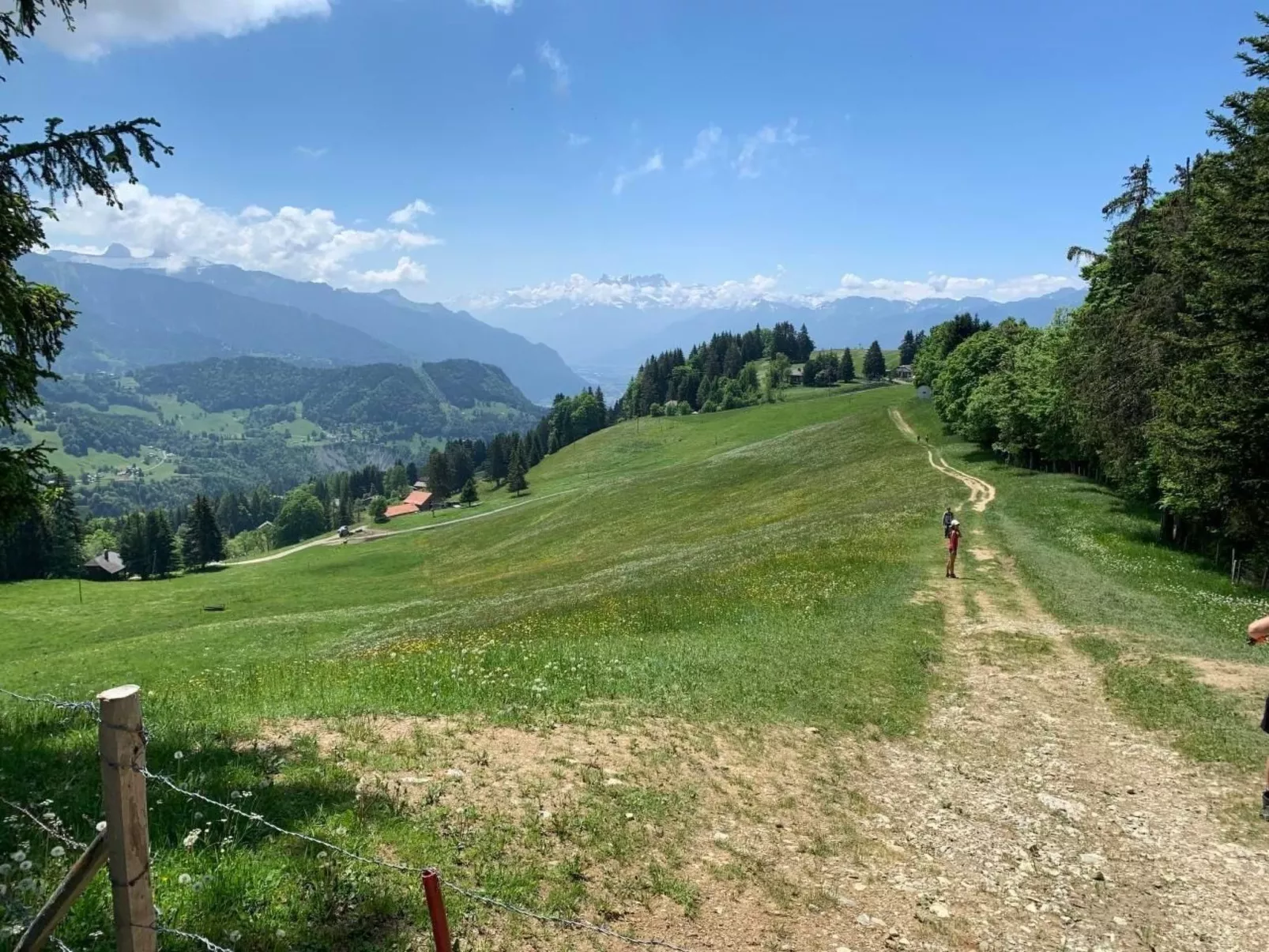 Les Narcisses,Blonay-Buiten