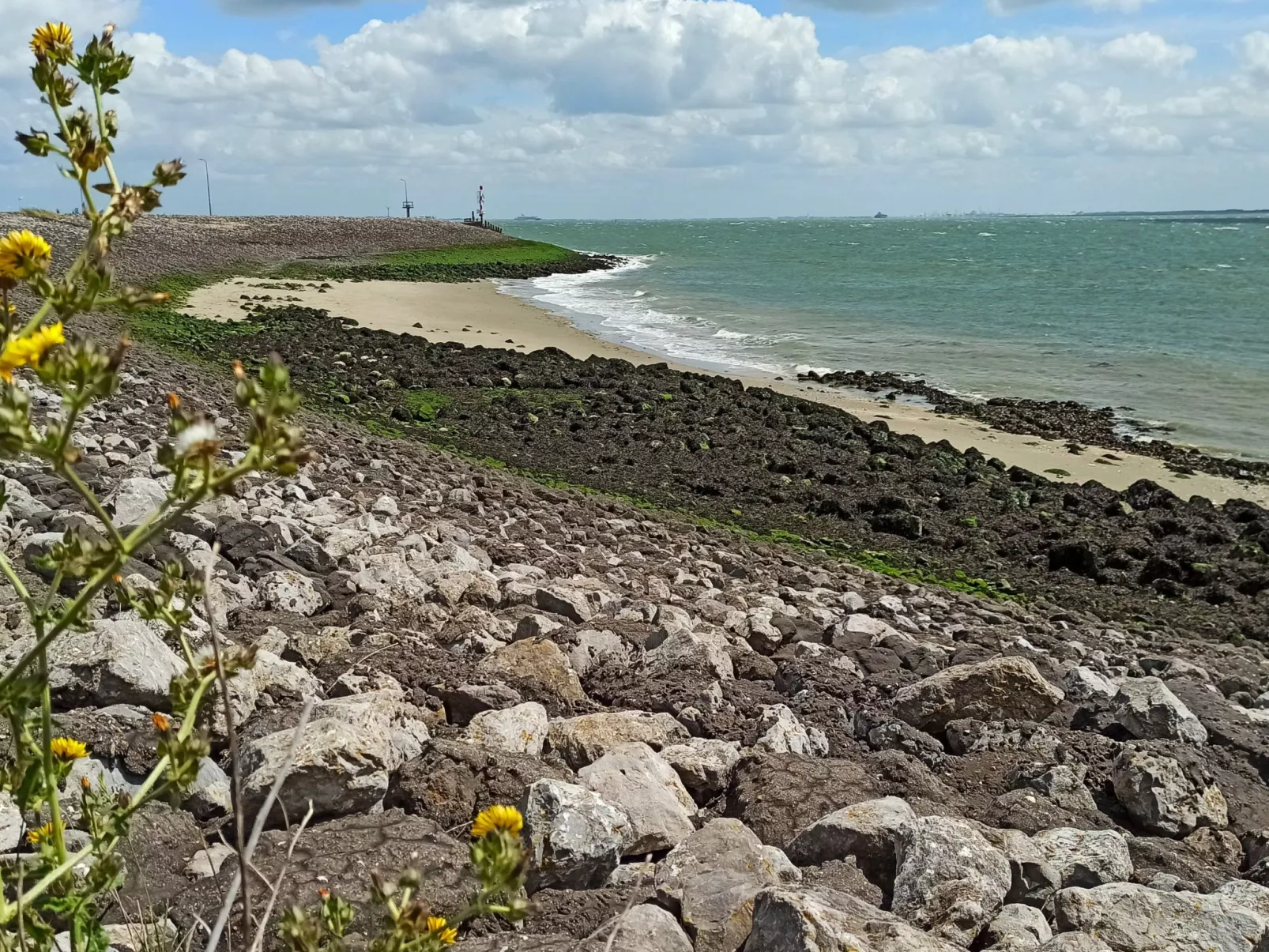 Appartement "Frühstück bei Carins"-Buiten