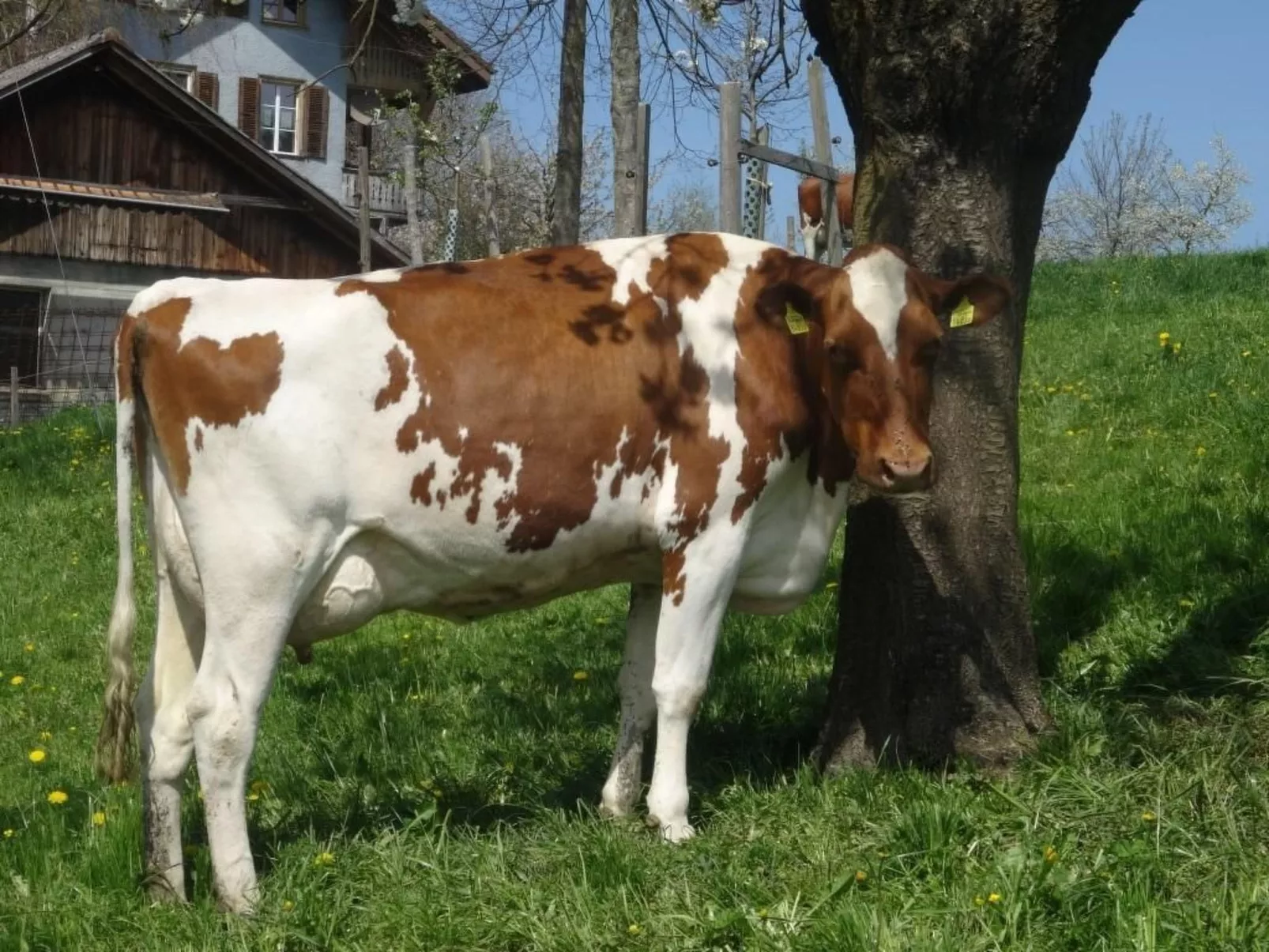 Hof Schürweid - Buiten