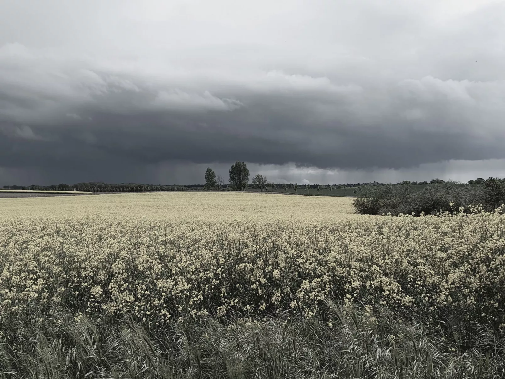 Landhaus Müritzliebe-Buiten