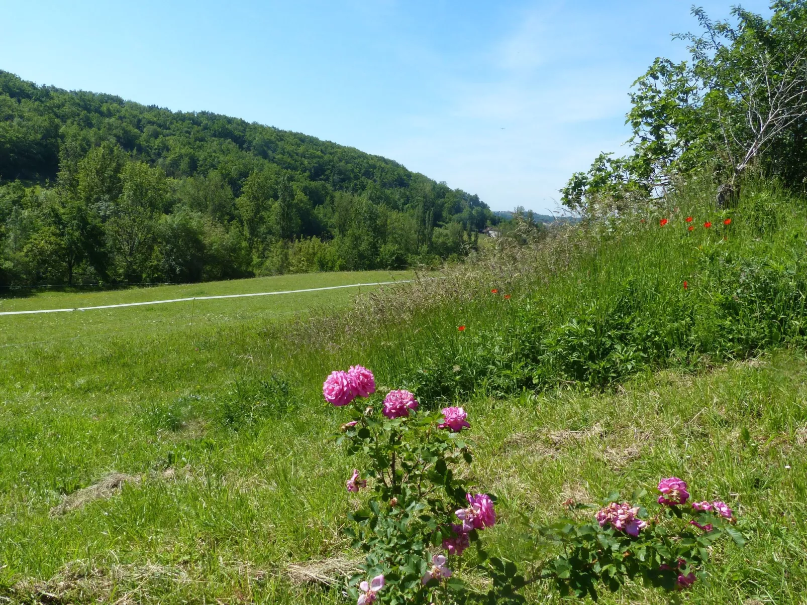 La Ferme des Paons-Buiten