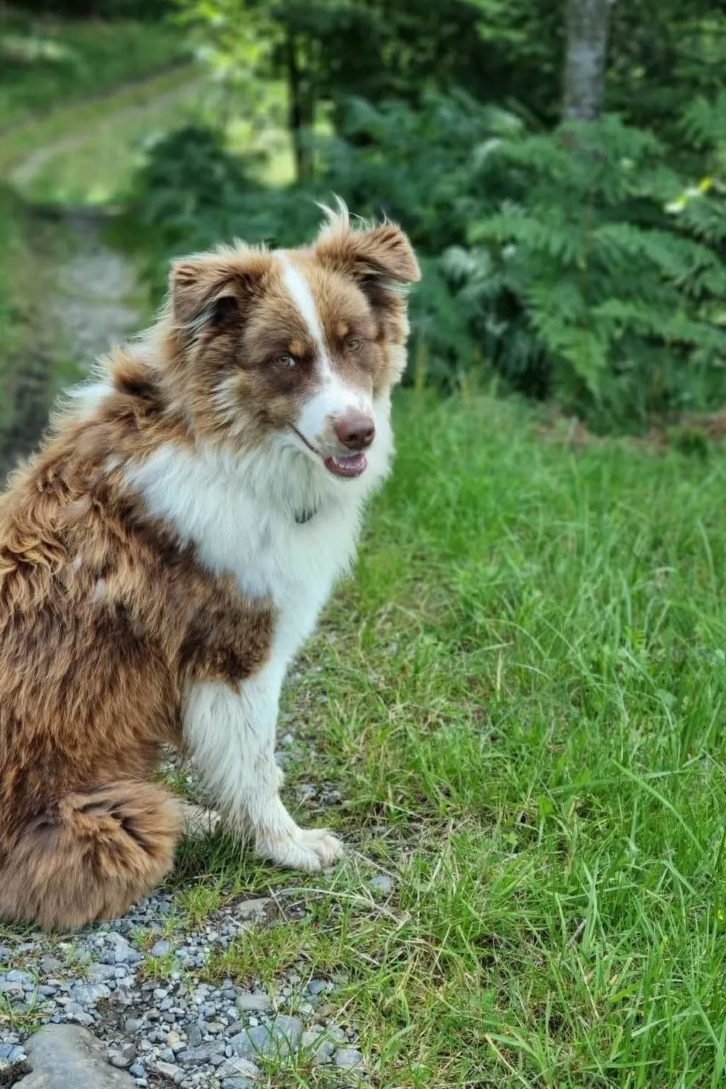 Bio-Hof Brudersrüti-Buiten