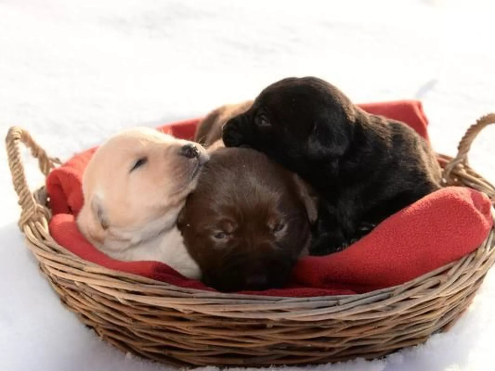 Schwarzenbachhof-Image-tags.info