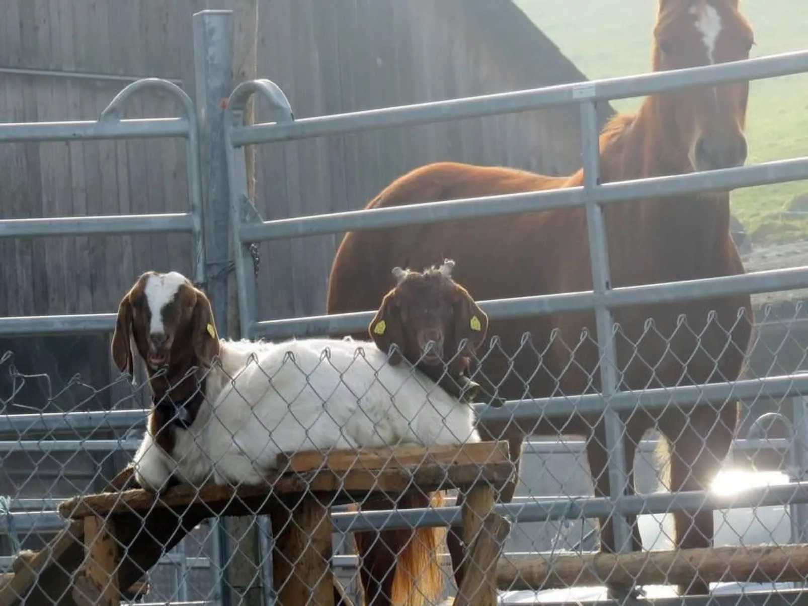 Burehof Waltrigen-Image-tags.info