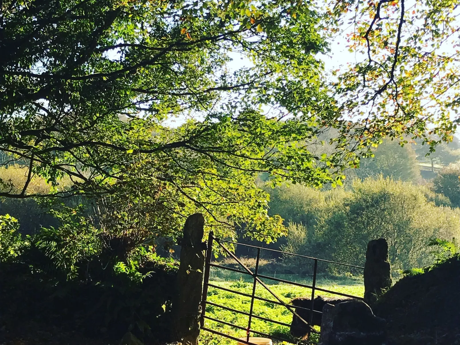 Idyllisches Landhaus mit wunderschönem Garten-Buiten