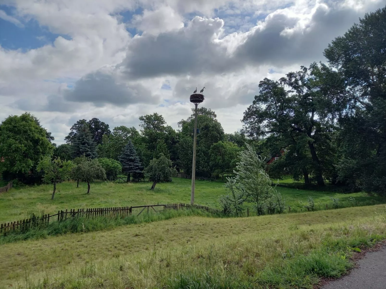 Haus Elbrose inmitten von Rosen mit Elbdeichzugang-Buiten