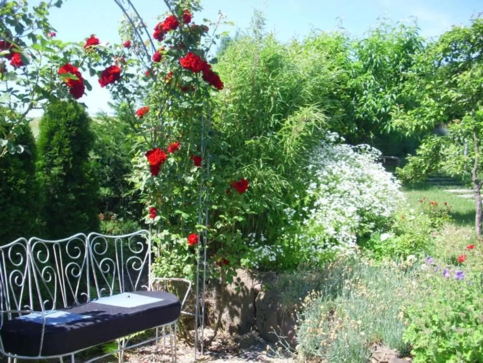 Ingrid-Image-tags.info