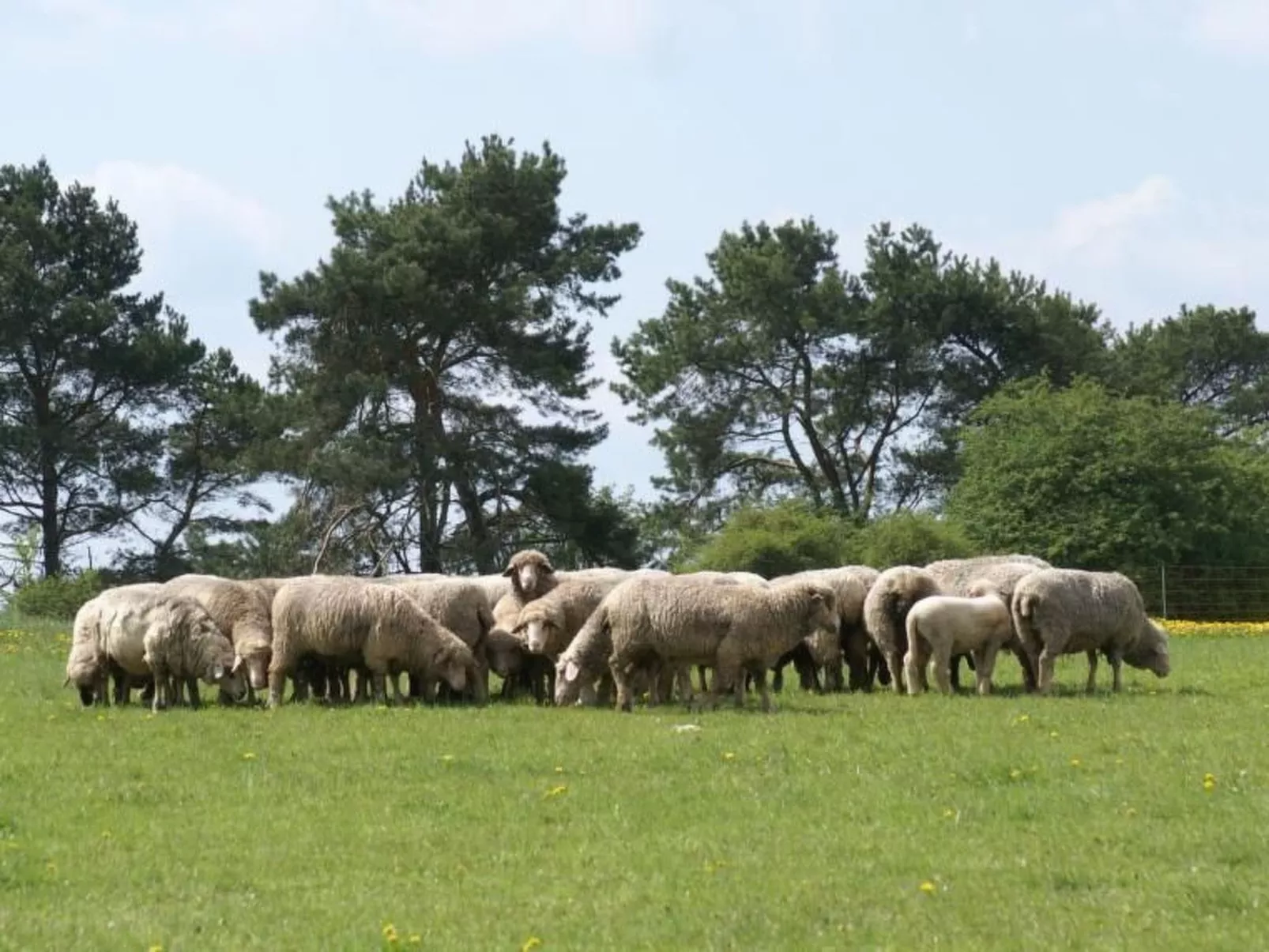 Gemütliche Maisonette Wohnung Seelenblick - Buiten