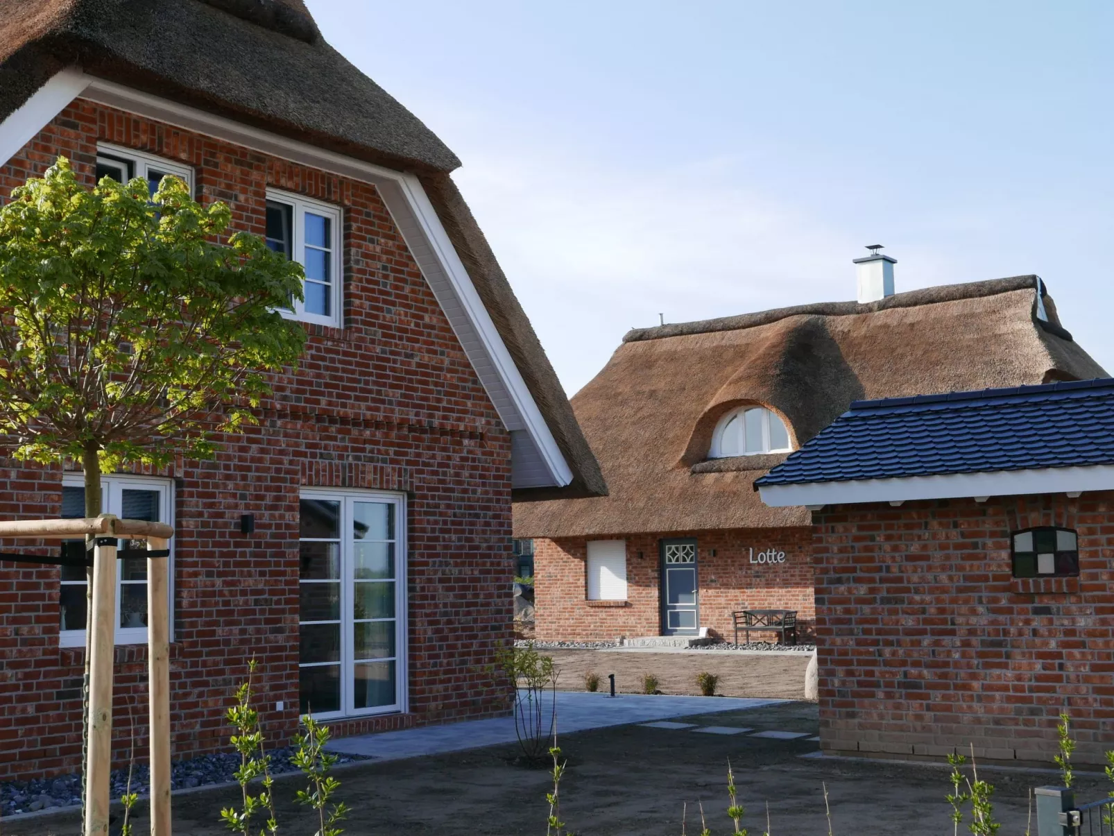 Jette-Image-tags.info