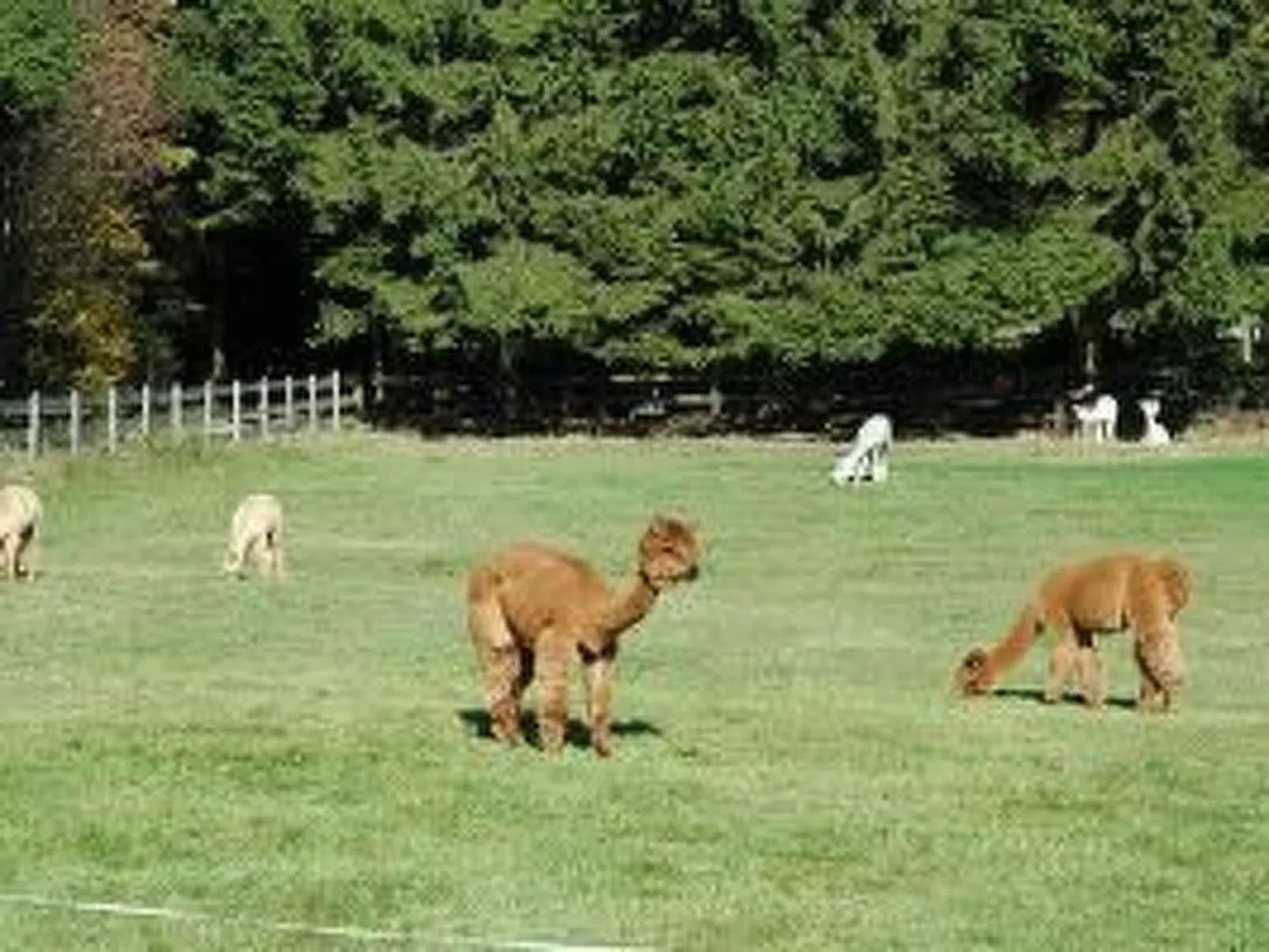 Am Hemberg am Diemelsee-Image-tags.info