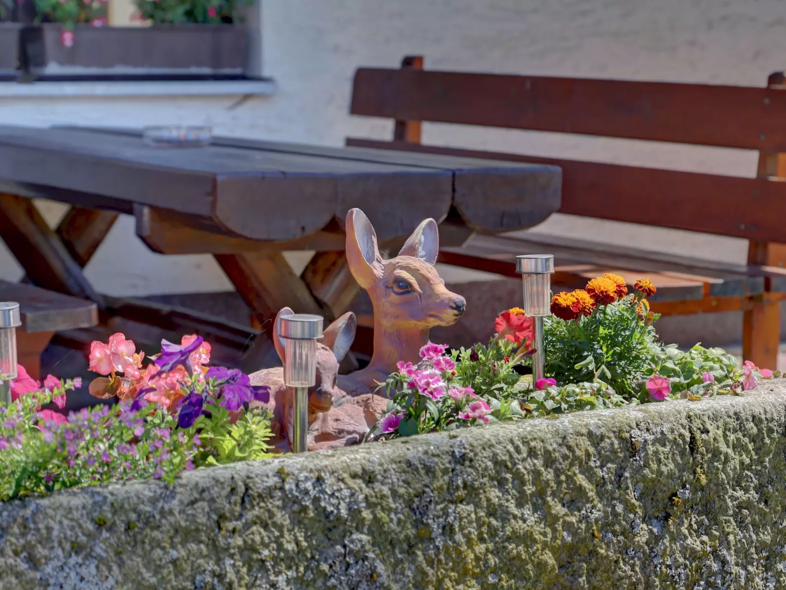 Typ B-Image-tags.info