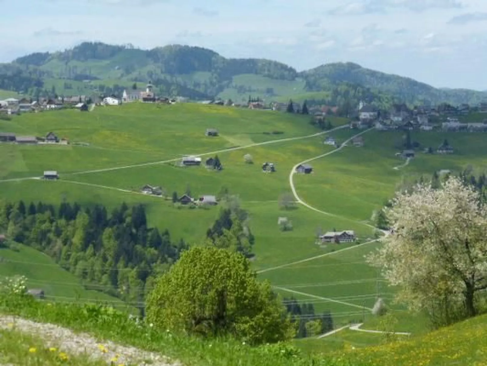 Ferienhof-Barenegg-Image-tags.info