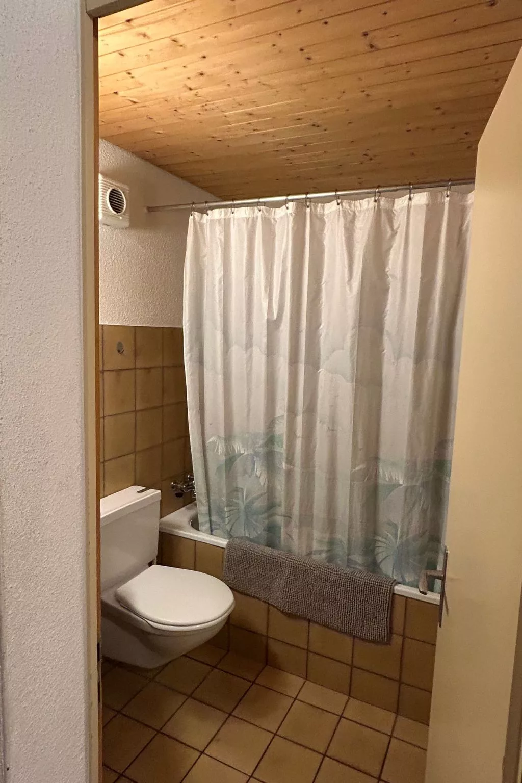 Wohnung Hirschi-Binnen