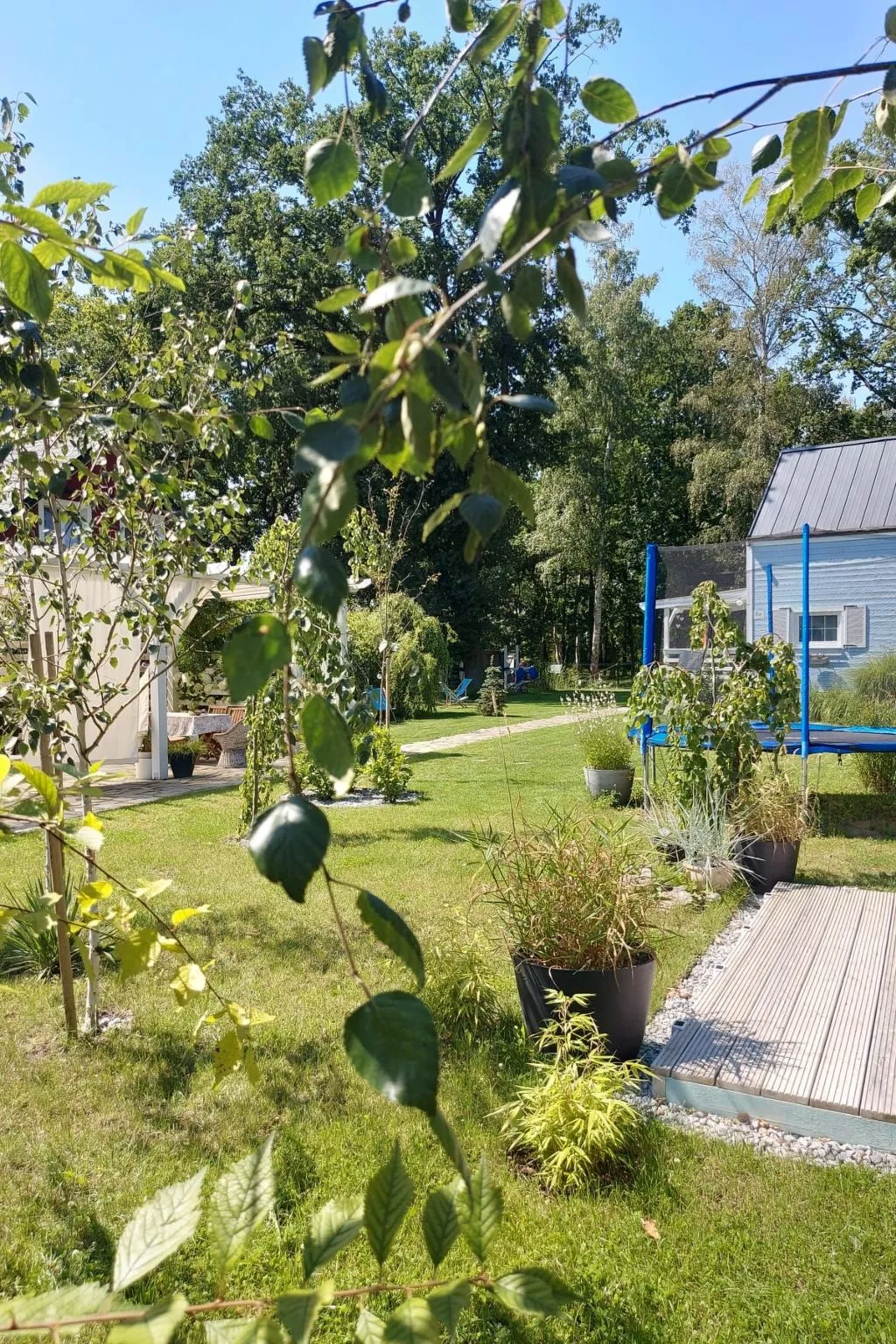 Chakram Nowe Warpno-Image-tags.info