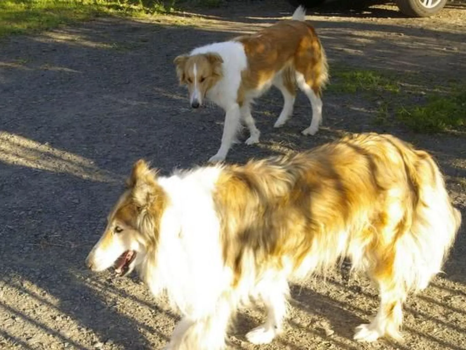 Blockhaus in Gajówka mit Kaminofen-Image-tags.info