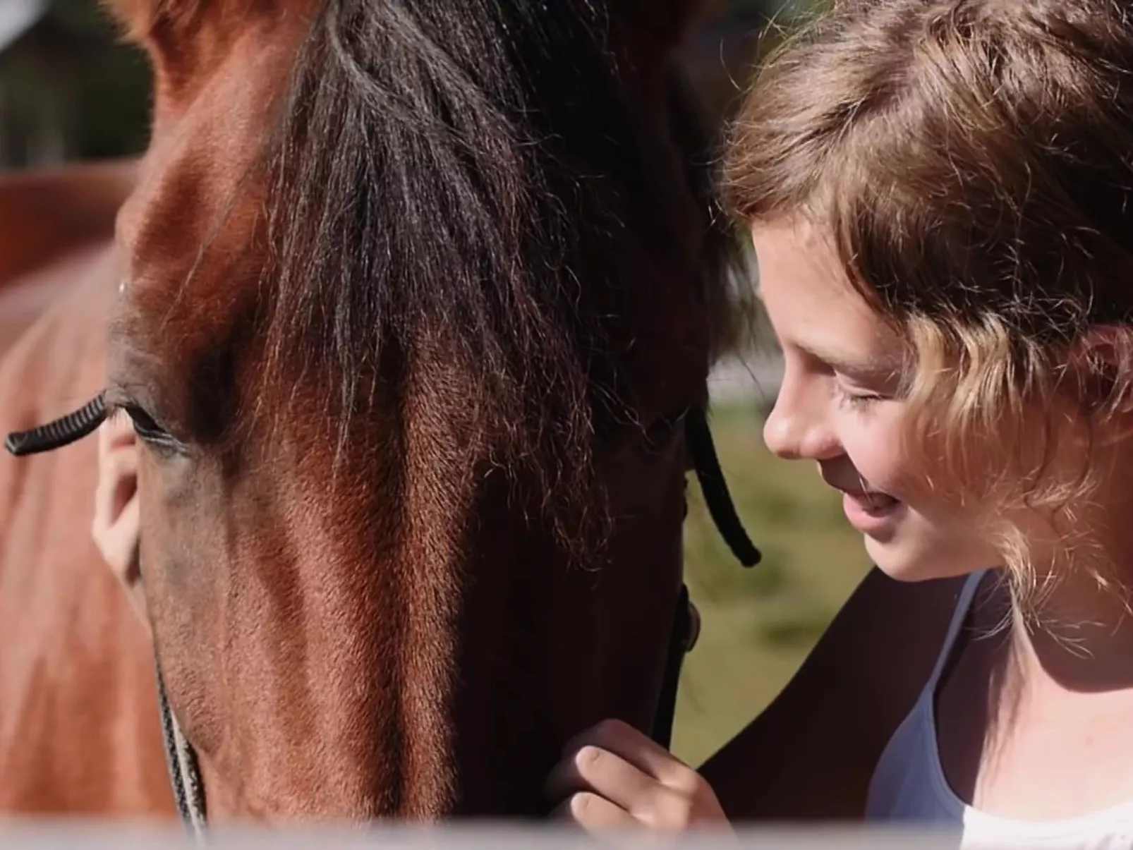 Uriges Blockhaus für 5 Personen-Image-tags.info