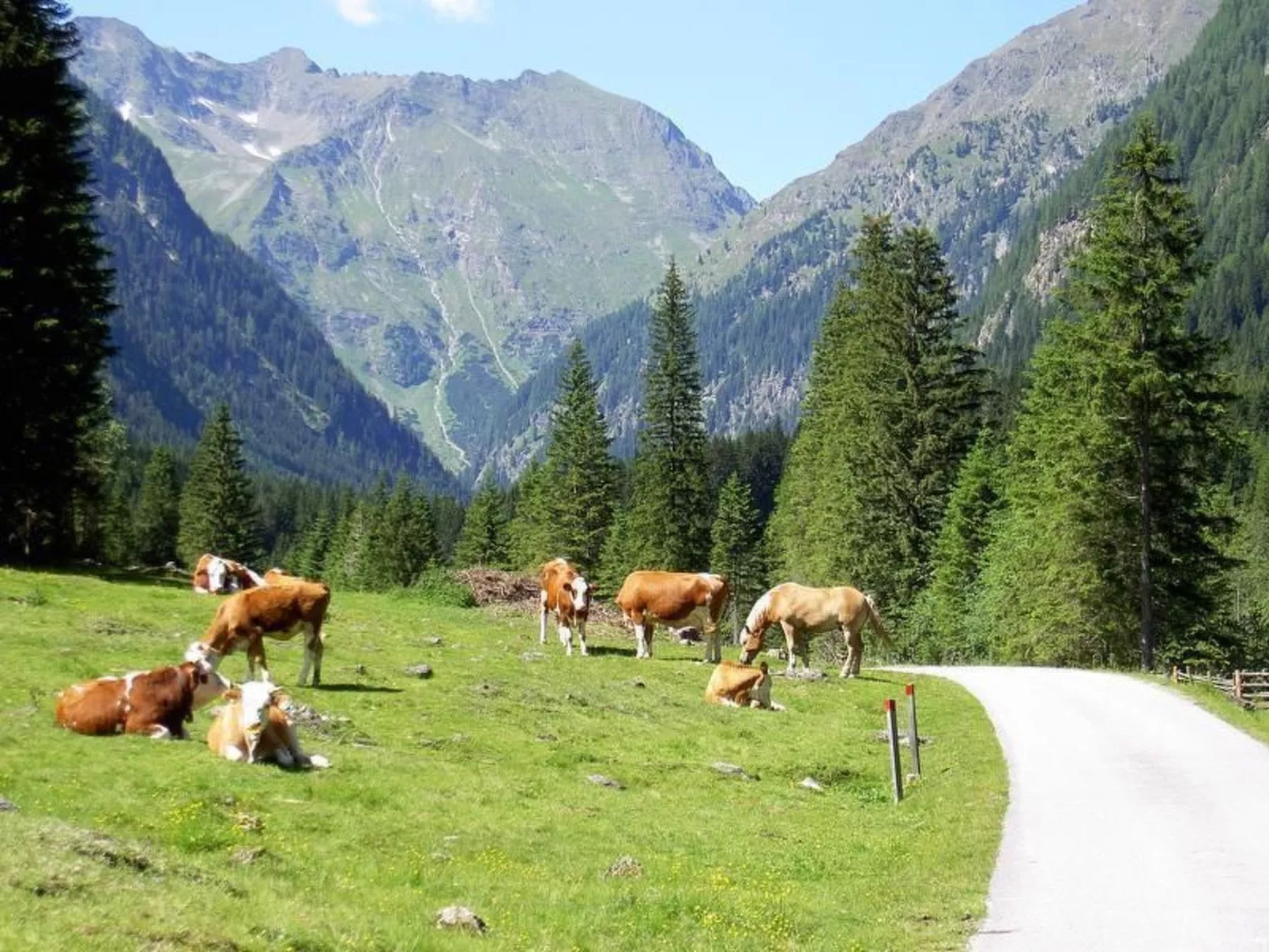 Chalet Gove für Unterkunft mit Halbpension unter der Leitung des Eigentümers-Buiten