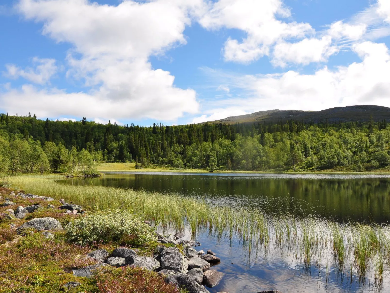 Charmantes modernes Blockhaus mit Kamin-Buiten