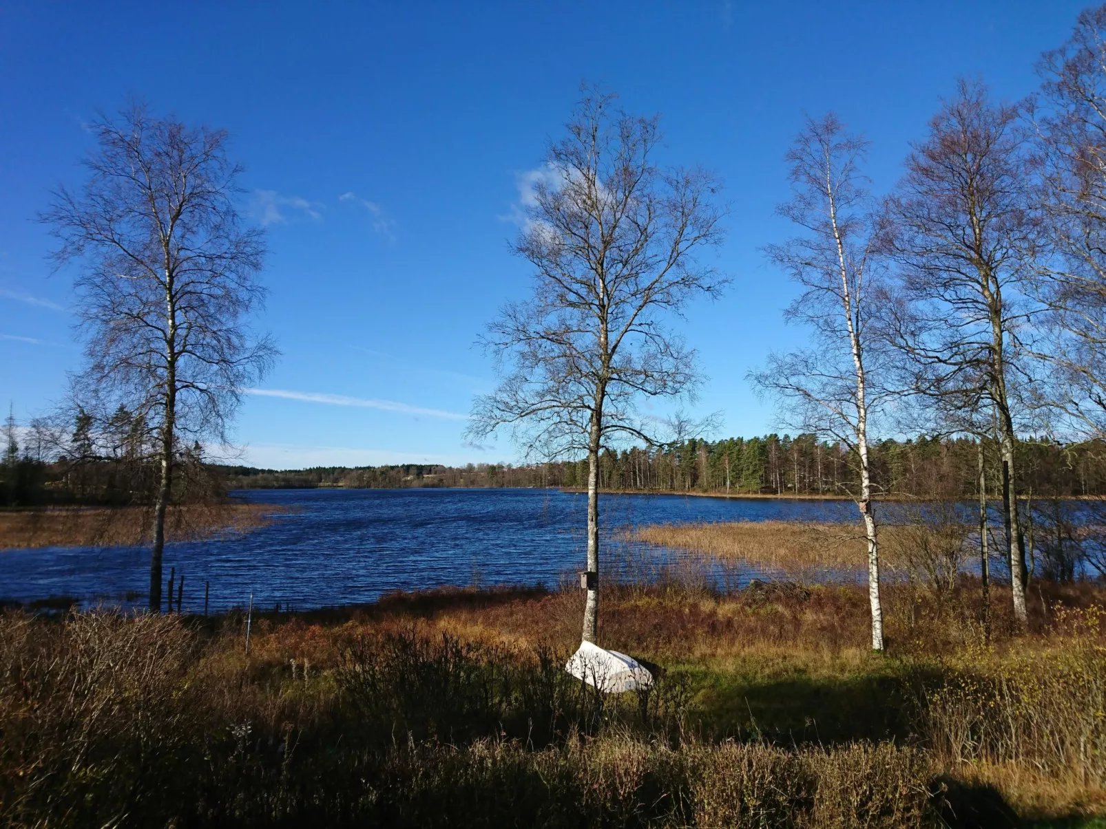 Saxarsviken-Image-tags.info