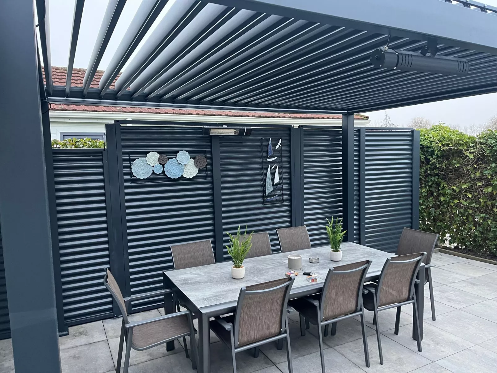 Seehund - Image-tags.info