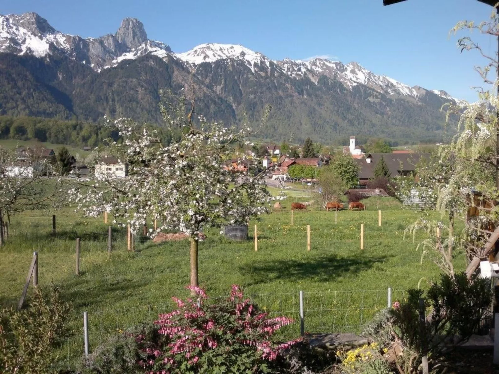 Stockhornblick-Buiten