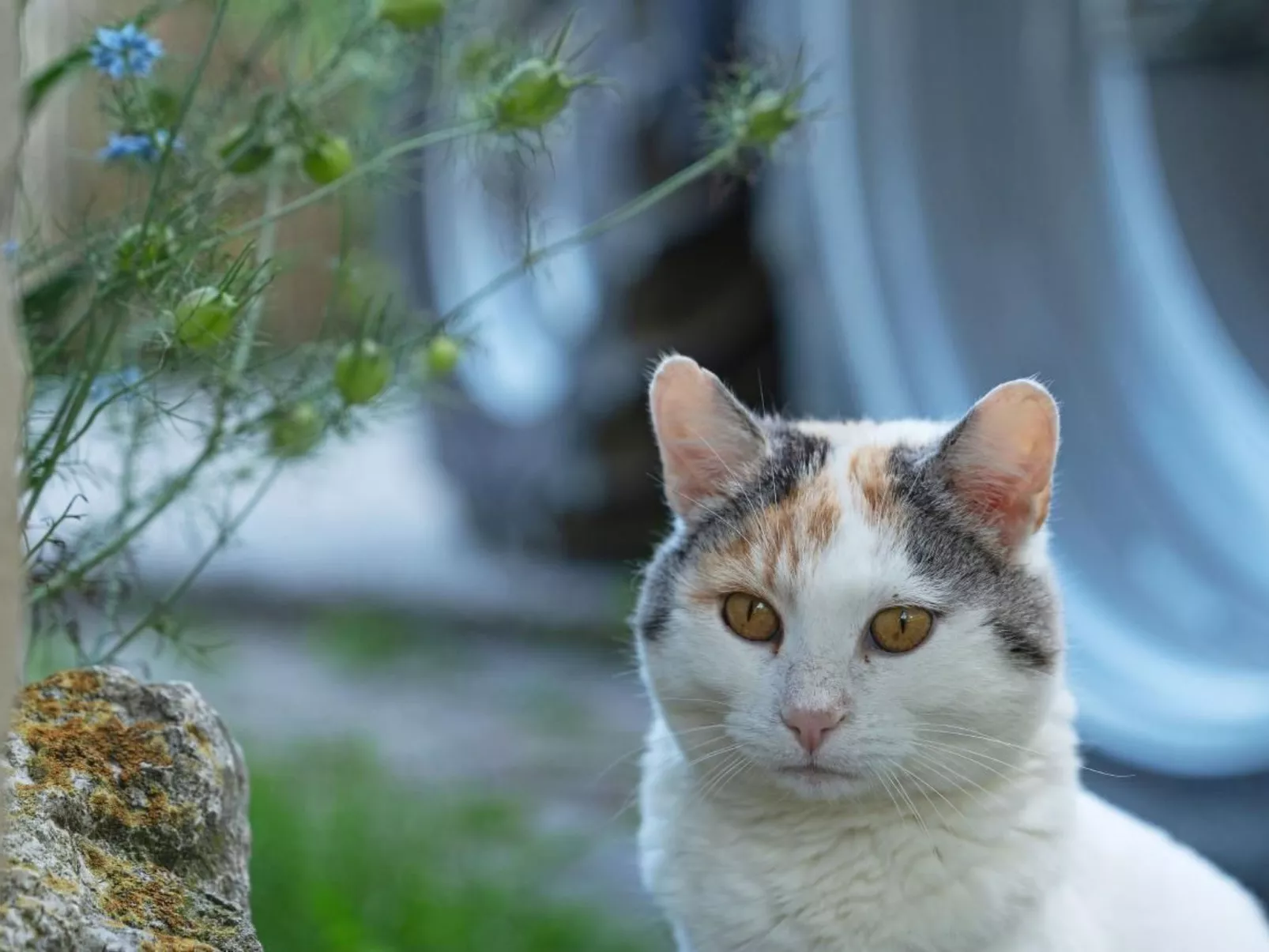 Eggenhof Ferien-Buiten