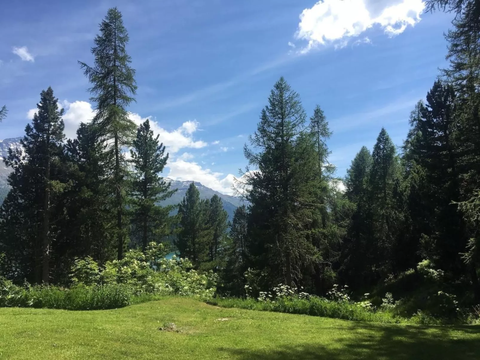 Chesa Bindschedler-Buiten