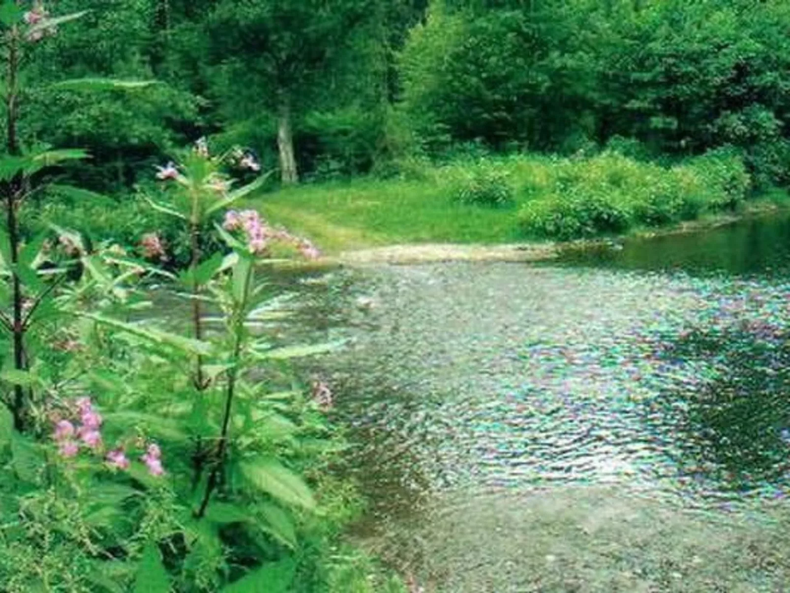 Apartment Lercher-Buiten