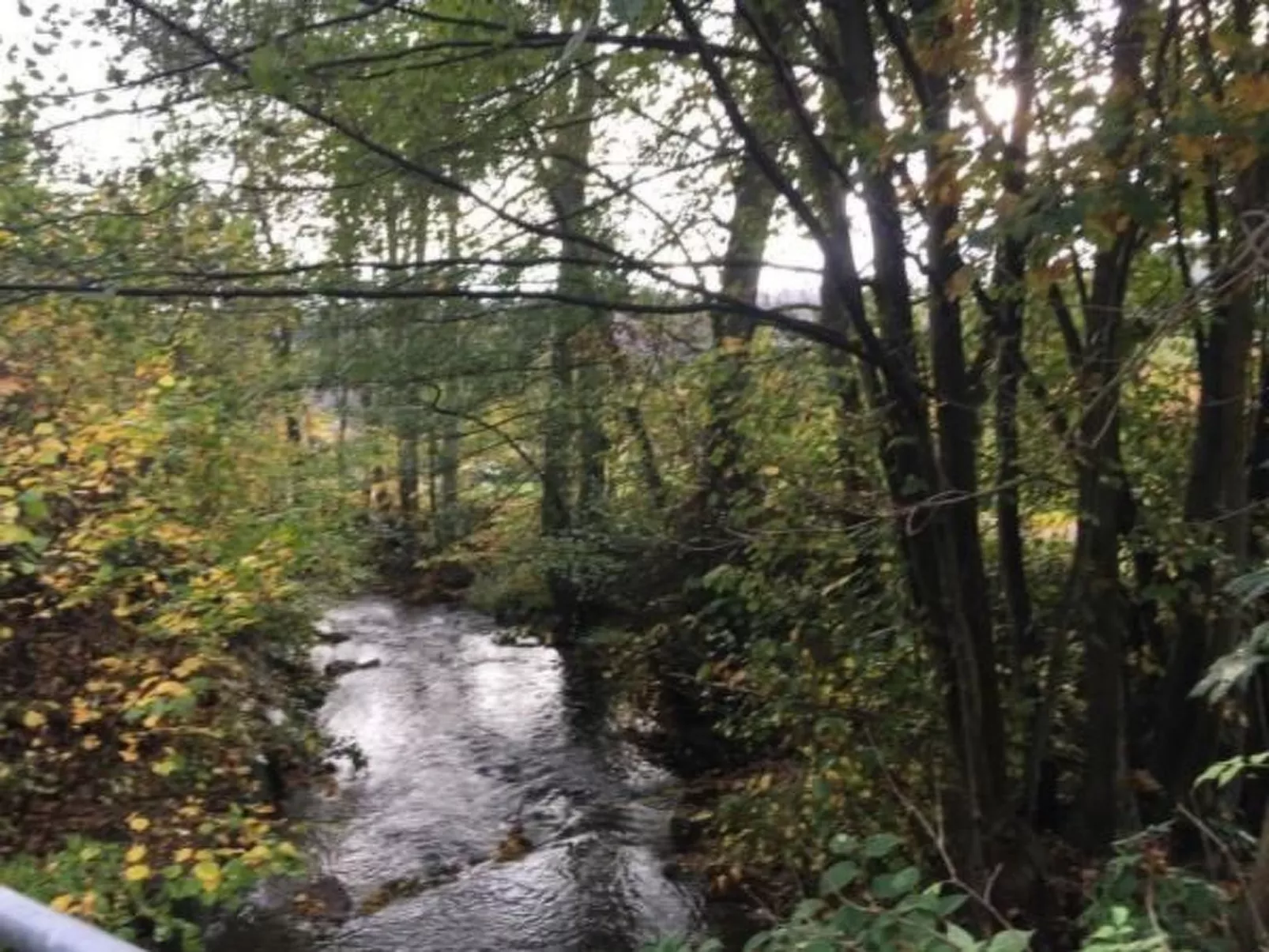 Ferienapartm. Adler-Buiten