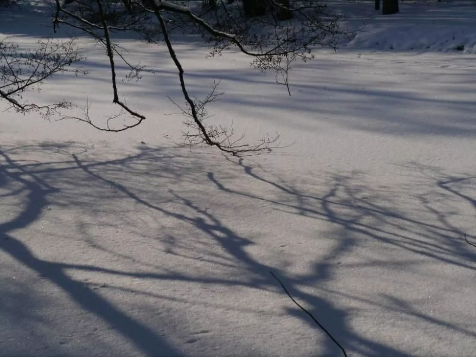 Gästehaus Siebert-Image-tags.info