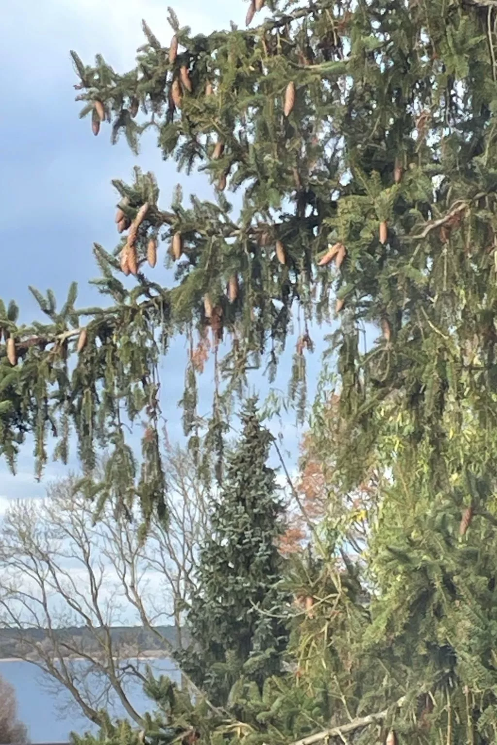 Sommerhaus JoLuFeLu-Image-tags.info