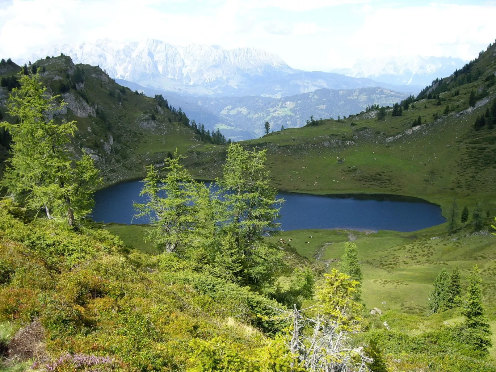 In Dorfgastein-Buiten