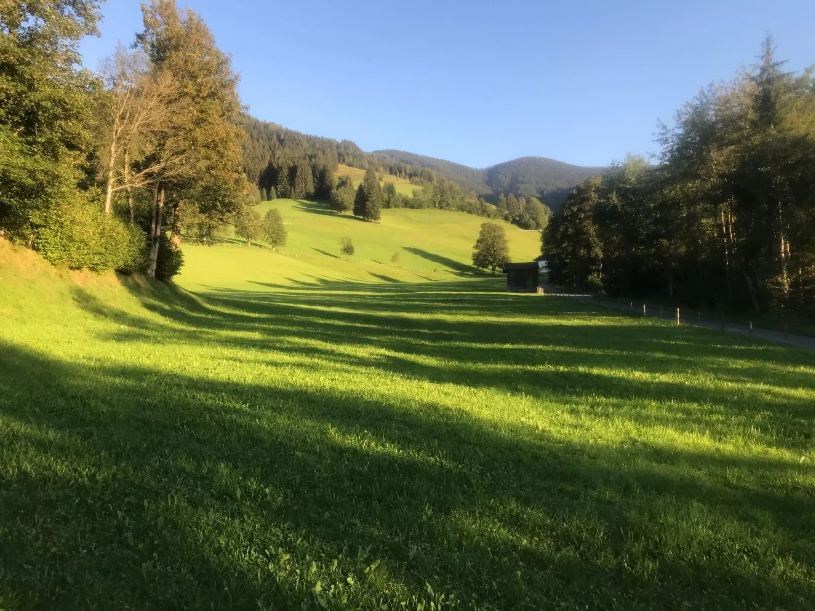 Jadghaus-Image-tags.info