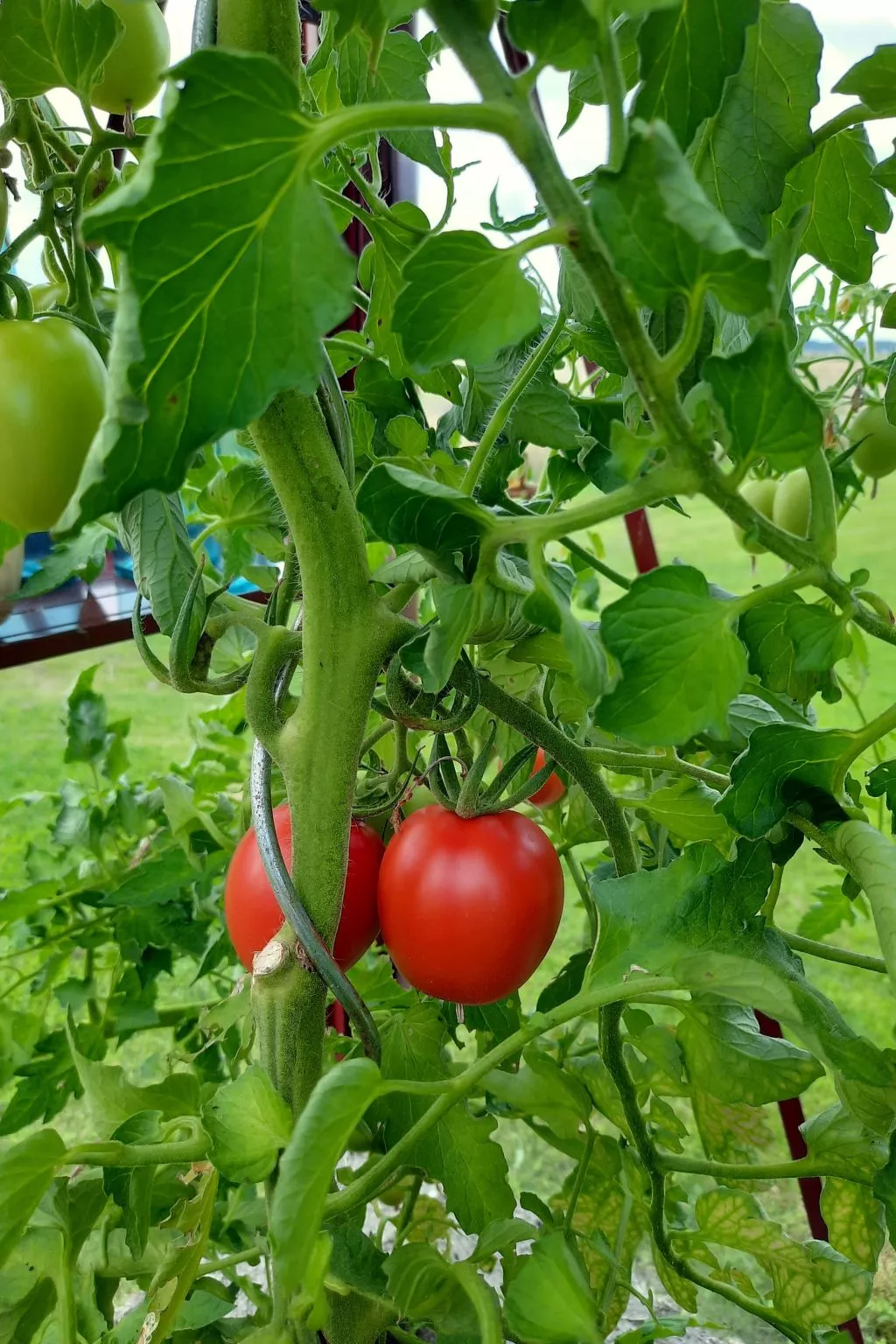 Bauernhaus-Wohnung bei Göta Älv in der Nähe von Göteborg - Image-tags.info