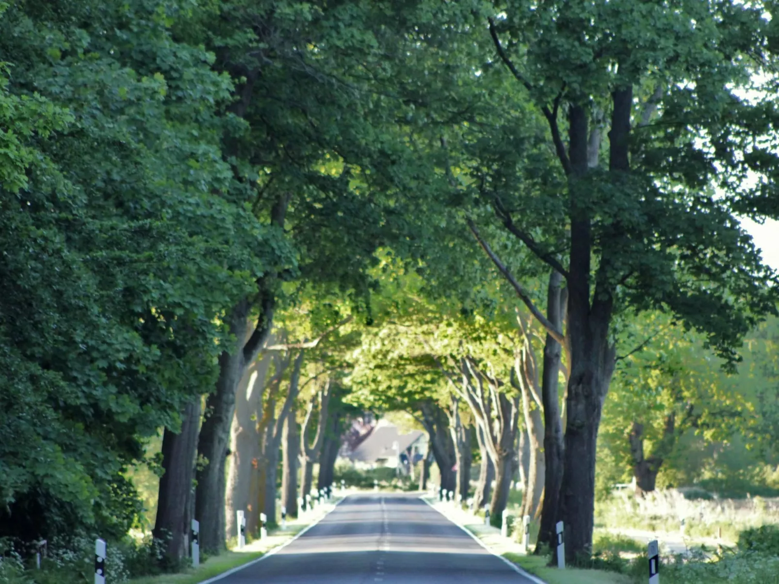 Strandnahe Wohnung mit Terrasse und Parkplatz-Binnen
