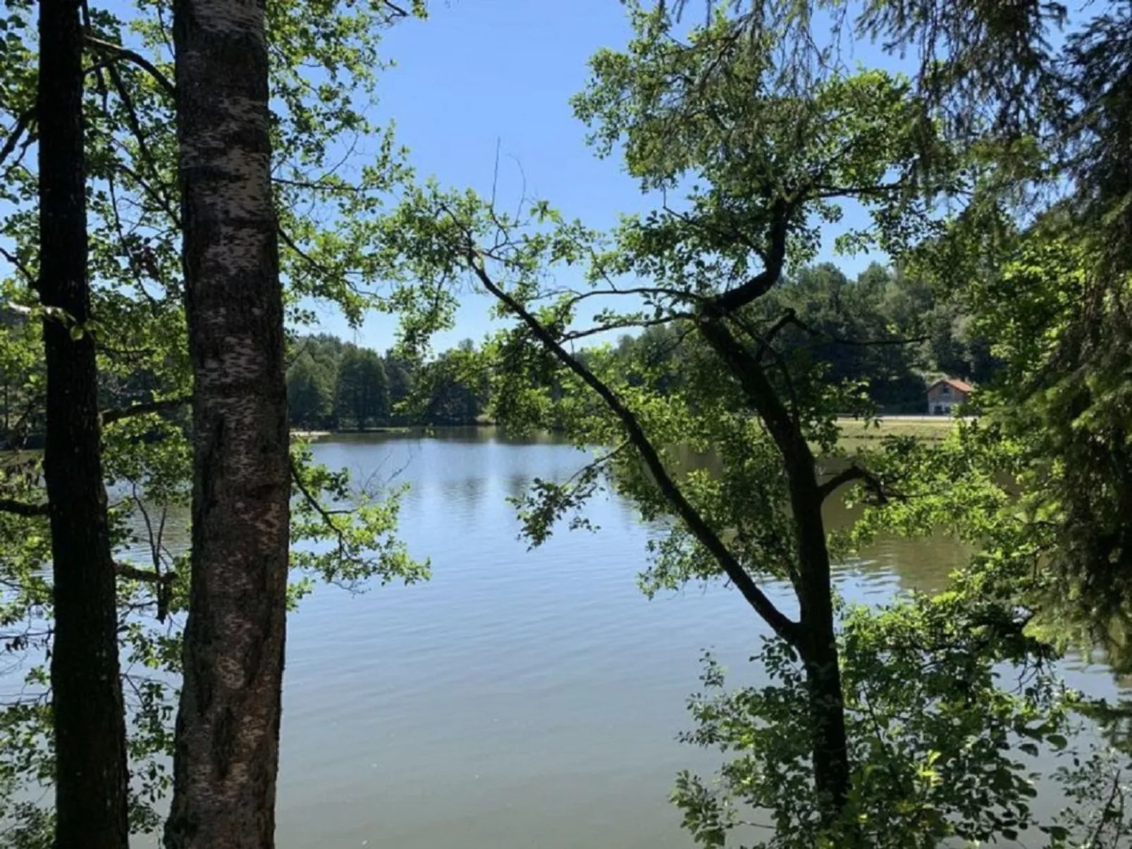 Appartement in Langfurth mit Kleinem Balkon-Buiten