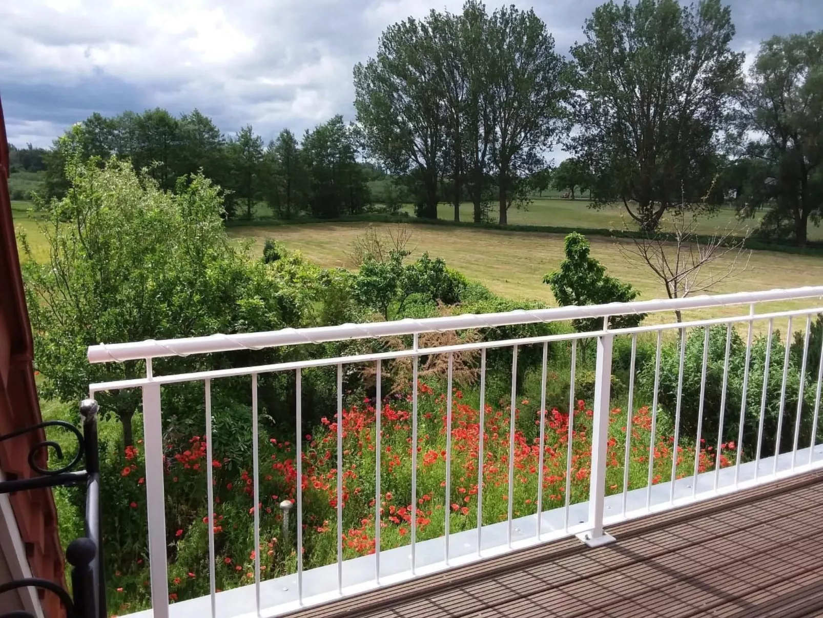 Schmetterling-Buiten